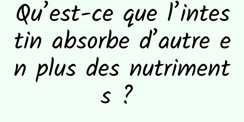 Qu’est-ce que l’intestin absorbe d’autre en plus des nutriments ? 