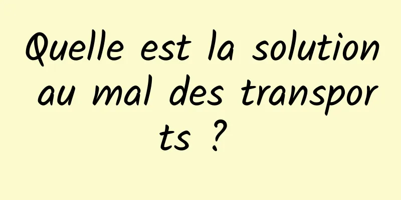 Quelle est la solution au mal des transports ? 