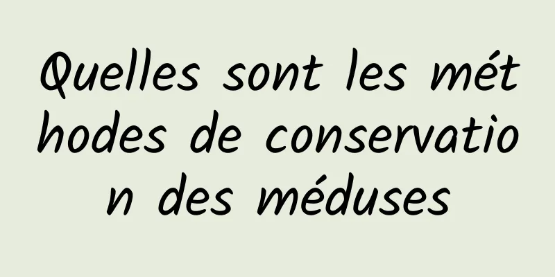 Quelles sont les méthodes de conservation des méduses