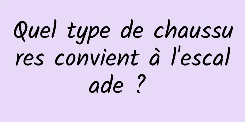 Quel type de chaussures convient à l'escalade ? 