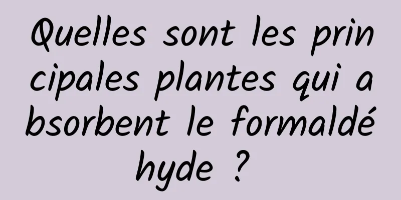 Quelles sont les principales plantes qui absorbent le formaldéhyde ? 