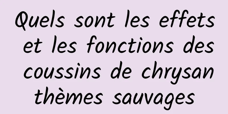 Quels sont les effets et les fonctions des coussins de chrysanthèmes sauvages