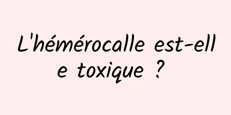 L'hémérocalle est-elle toxique ? 