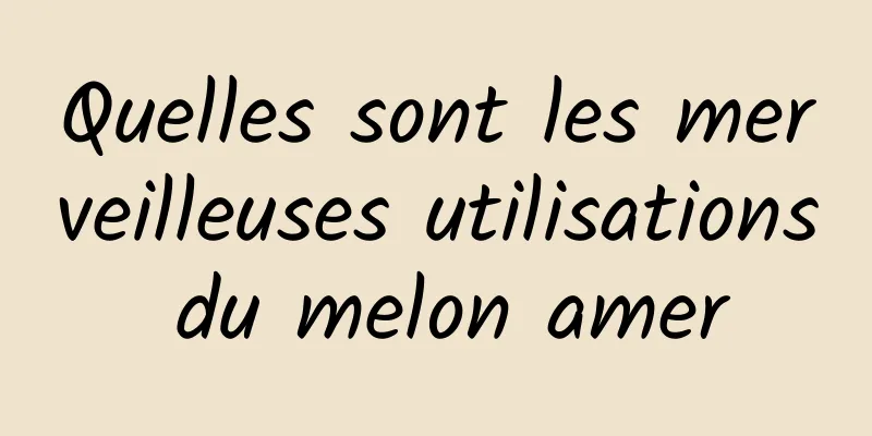 Quelles sont les merveilleuses utilisations du melon amer