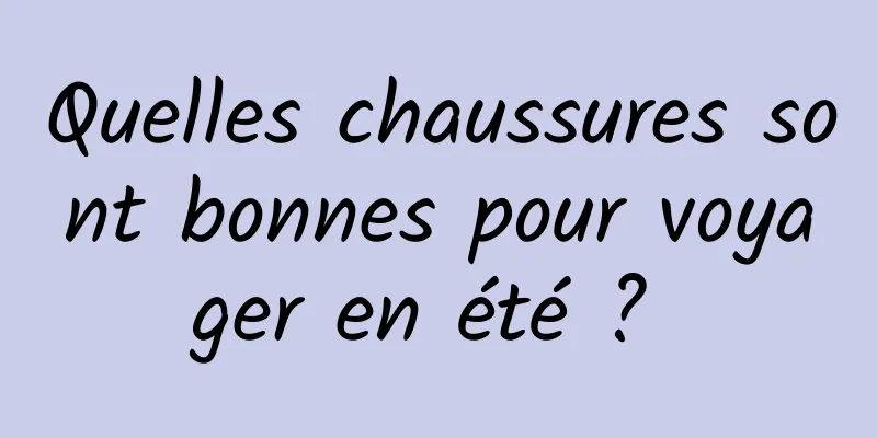 Quelles chaussures sont bonnes pour voyager en été ? 