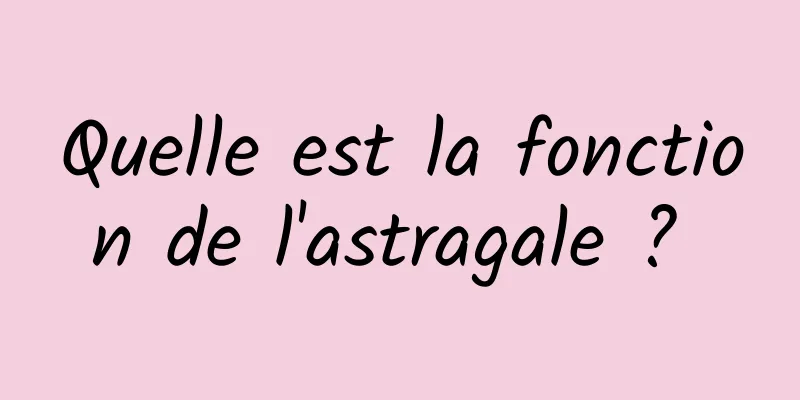 Quelle est la fonction de l'astragale ? 