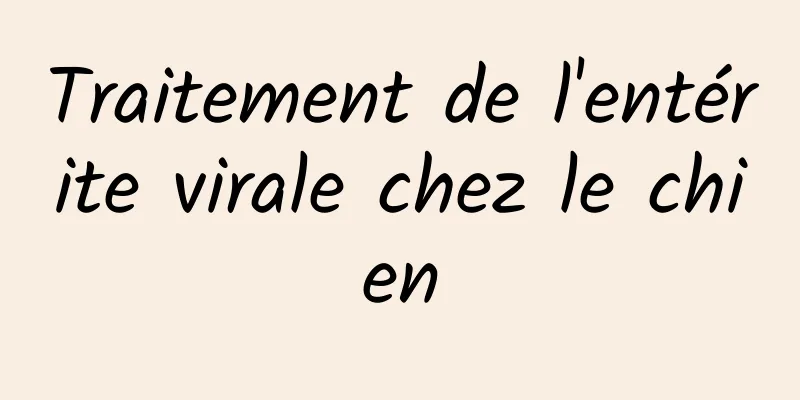 Traitement de l'entérite virale chez le chien