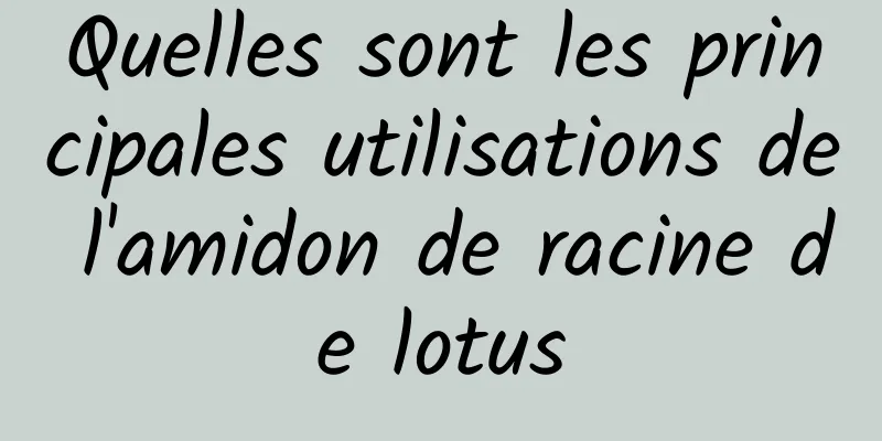 Quelles sont les principales utilisations de l'amidon de racine de lotus