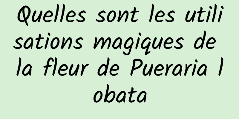 Quelles sont les utilisations magiques de la fleur de Pueraria lobata