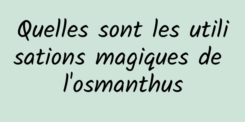 Quelles sont les utilisations magiques de l'osmanthus