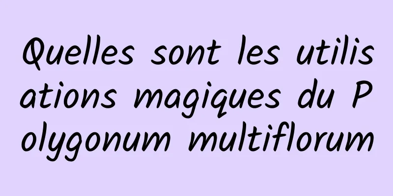 Quelles sont les utilisations magiques du Polygonum multiflorum