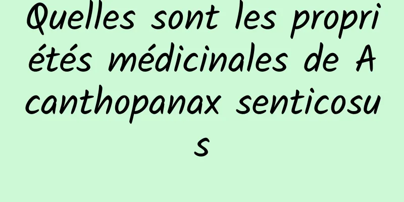 Quelles sont les propriétés médicinales de Acanthopanax senticosus