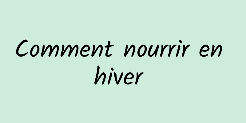 Comment nourrir en hiver 