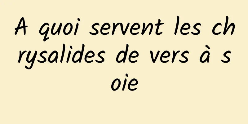 A quoi servent les chrysalides de vers à soie