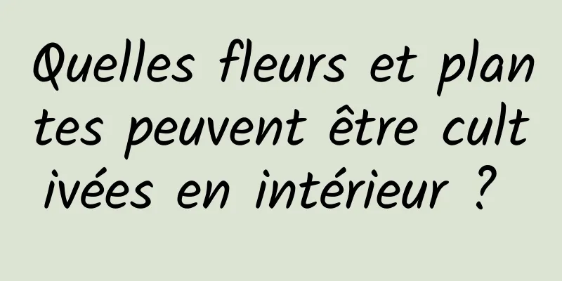 Quelles fleurs et plantes peuvent être cultivées en intérieur ? 