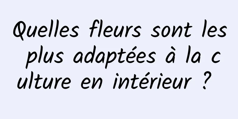 Quelles fleurs sont les plus adaptées à la culture en intérieur ? 