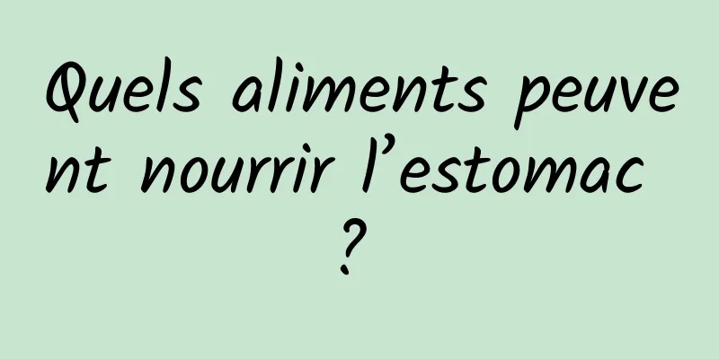 Quels aliments peuvent nourrir l’estomac ? 