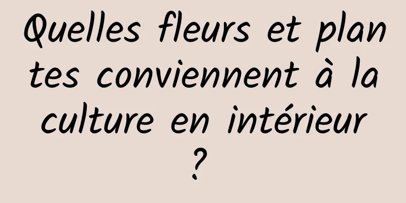 Quelles fleurs et plantes conviennent à la culture en intérieur ? 