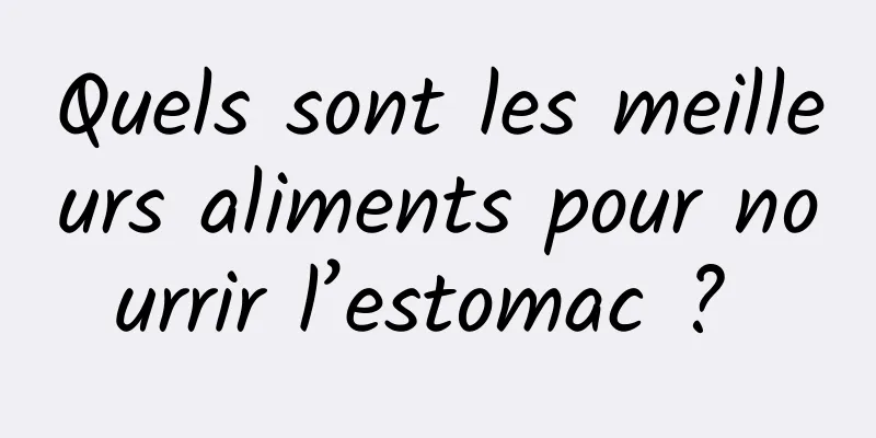 Quels sont les meilleurs aliments pour nourrir l’estomac ? 