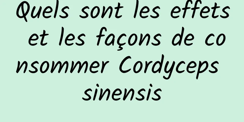 Quels sont les effets et les façons de consommer Cordyceps sinensis