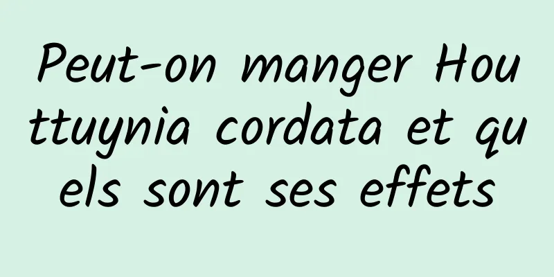 Peut-on manger Houttuynia cordata et quels sont ses effets