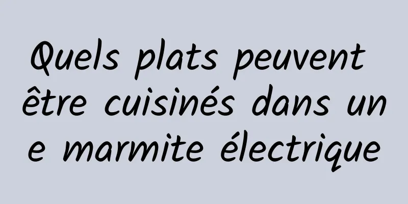 Quels plats peuvent être cuisinés dans une marmite électrique