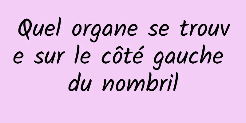 Quel organe se trouve sur le côté gauche du nombril