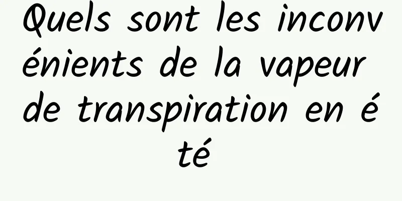 Quels sont les inconvénients de la vapeur de transpiration en été 