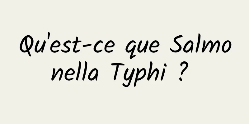 Qu'est-ce que Salmonella Typhi ? 