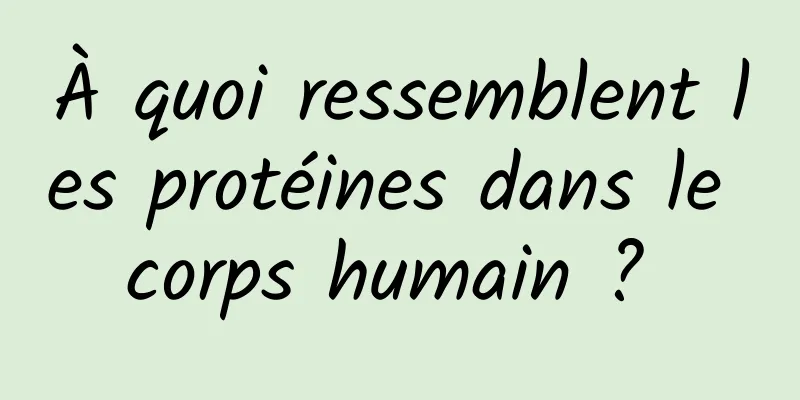 À quoi ressemblent les protéines dans le corps humain ? 