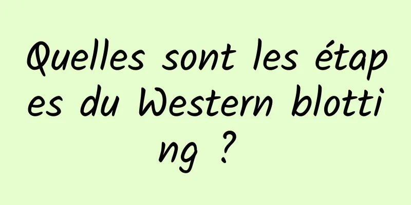 Quelles sont les étapes du Western blotting ? 