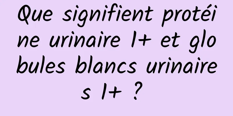 Que signifient protéine urinaire 1+ et globules blancs urinaires 1+ ? 