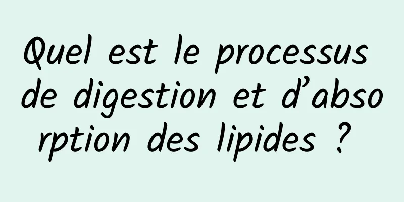 Quel est le processus de digestion et d’absorption des lipides ? 