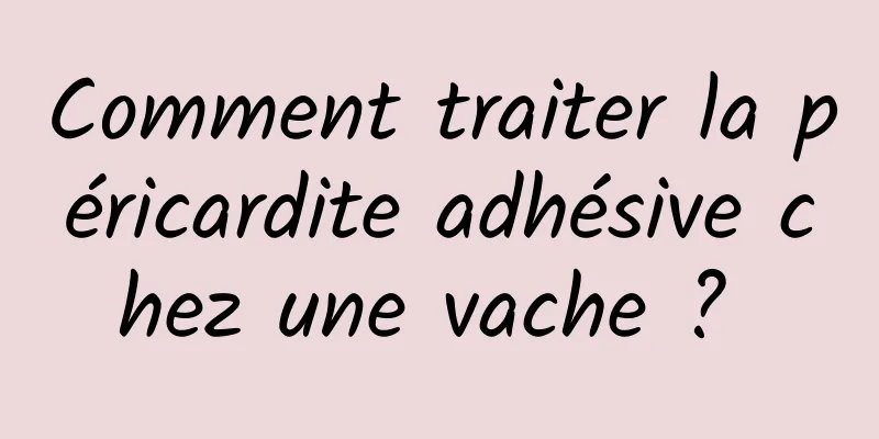 Comment traiter la péricardite adhésive chez une vache ? 