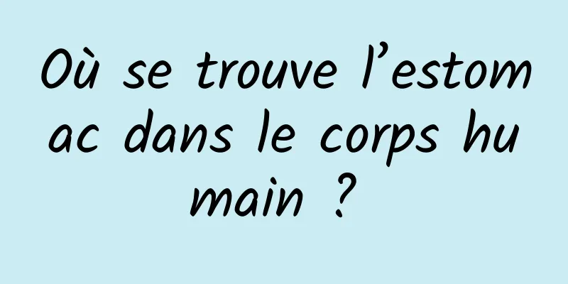 Où se trouve l’estomac dans le corps humain ? 