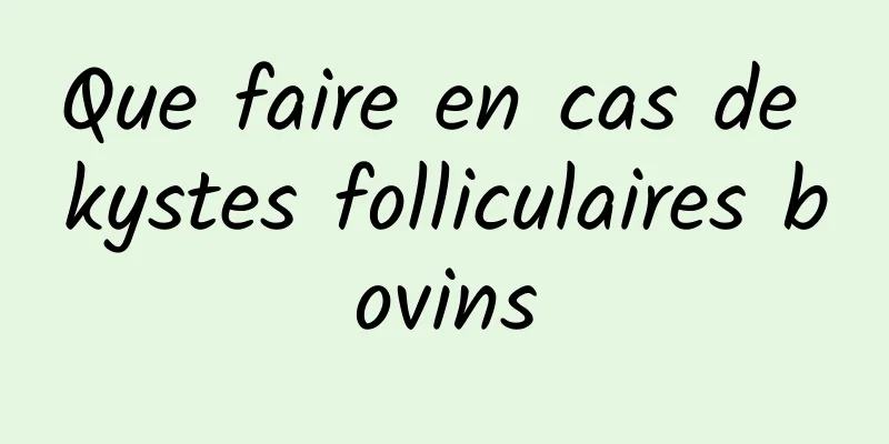 Que faire en cas de kystes folliculaires bovins