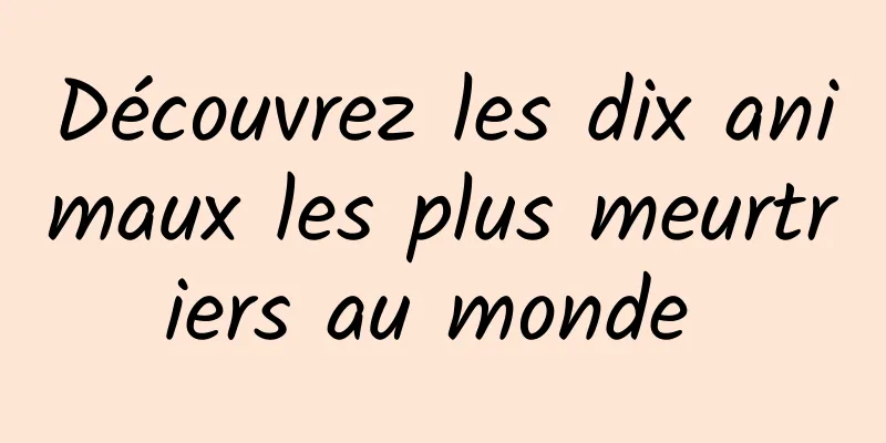 Découvrez les dix animaux les plus meurtriers au monde 