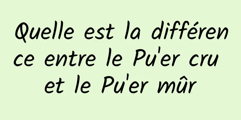 Quelle est la différence entre le Pu'er cru et le Pu'er mûr