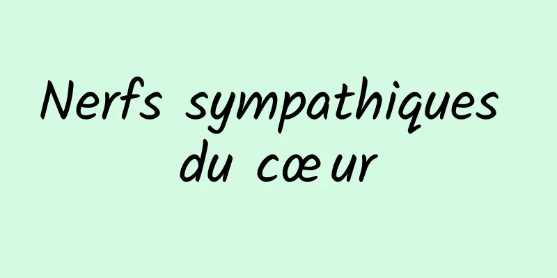 Nerfs sympathiques du cœur