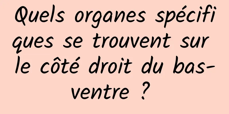 Quels organes spécifiques se trouvent sur le côté droit du bas-ventre ? 