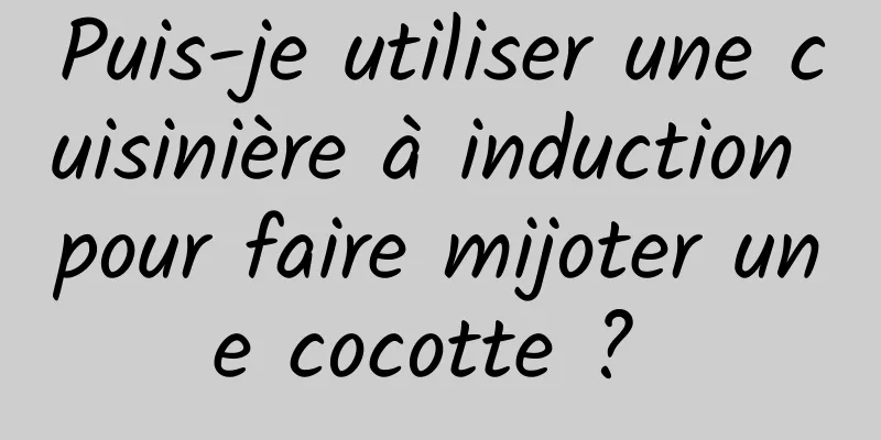 Puis-je utiliser une cuisinière à induction pour faire mijoter une cocotte ? 