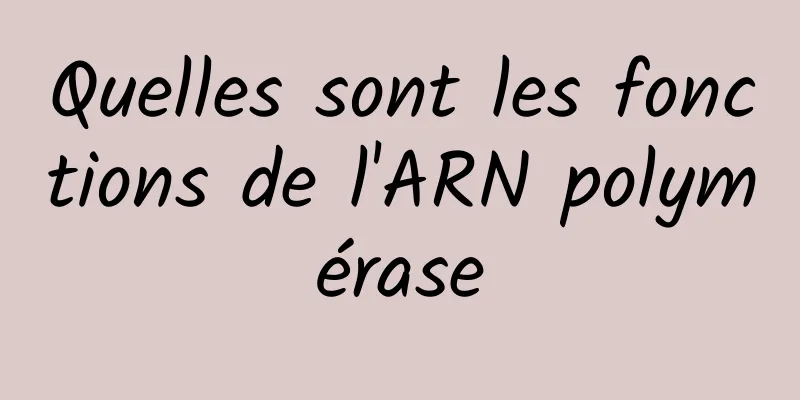 Quelles sont les fonctions de l'ARN polymérase