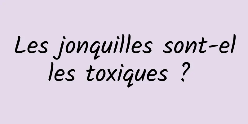 Les jonquilles sont-elles toxiques ? 