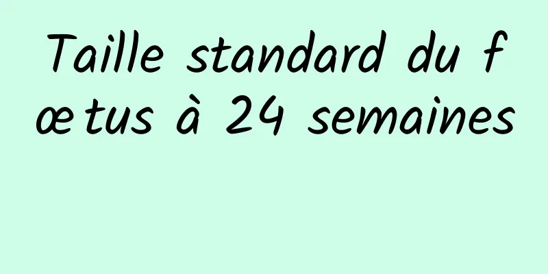 Taille standard du fœtus à 24 semaines 