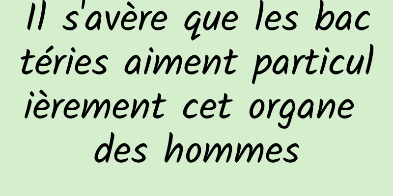 Il s'avère que les bactéries aiment particulièrement cet organe des hommes