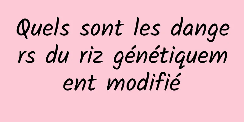 Quels sont les dangers du riz génétiquement modifié