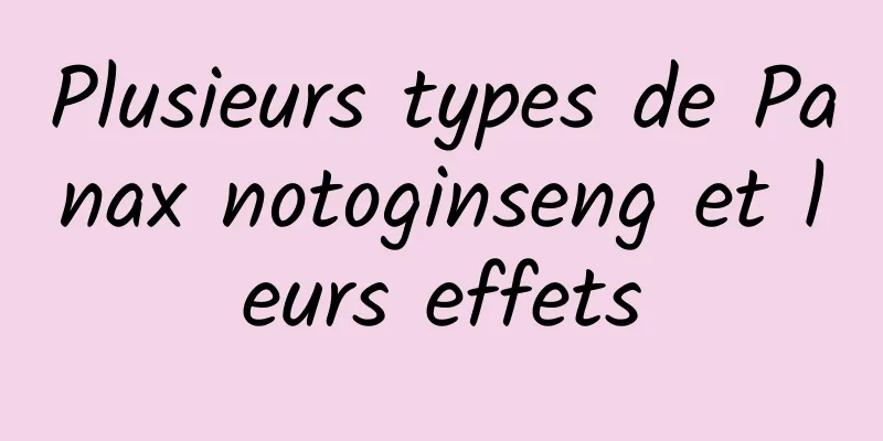 Plusieurs types de Panax notoginseng et leurs effets