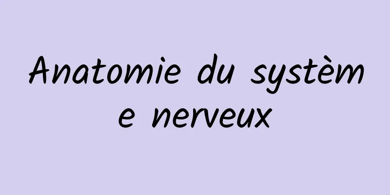 Anatomie du système nerveux