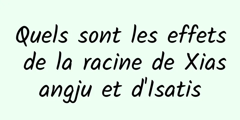 Quels sont les effets de la racine de Xiasangju et d'Isatis