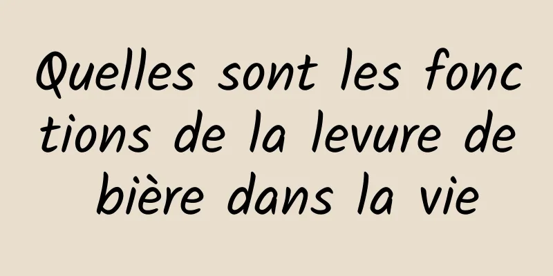 Quelles sont les fonctions de la levure de bière dans la vie